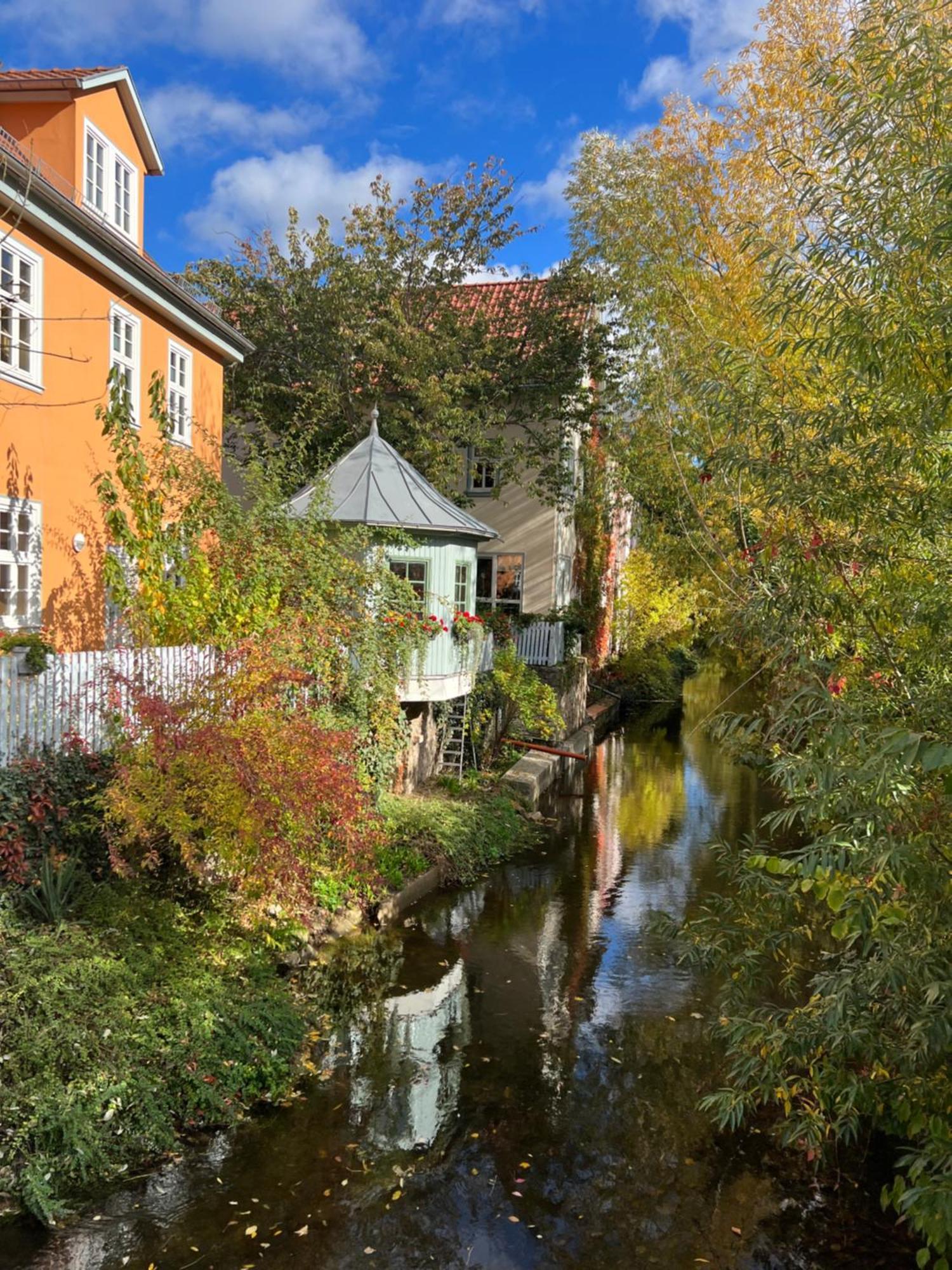 Ferienwohnung Schildblick Modernes Apartment Direkt In Der Altstadt Von Erfurt Nahe Der Kraemerbruecke - Beste Innenstadtlage Exteriör bild